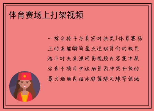 体育赛场上打架视频
