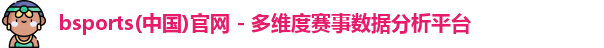 bsports体育